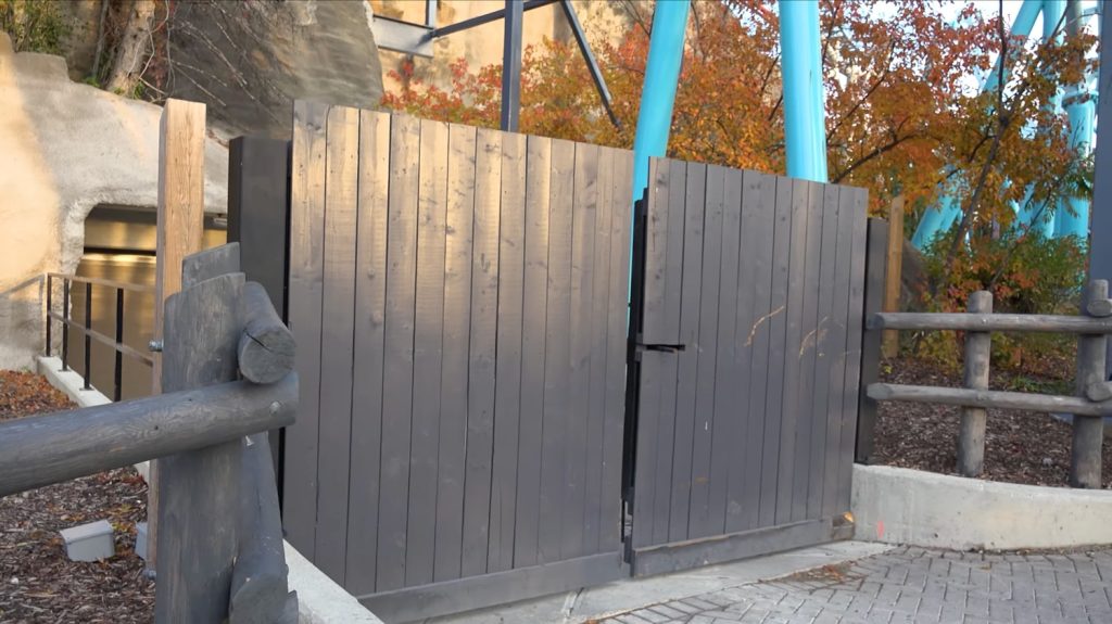 Grey wooden gate and fences behind Wonder Mountain.