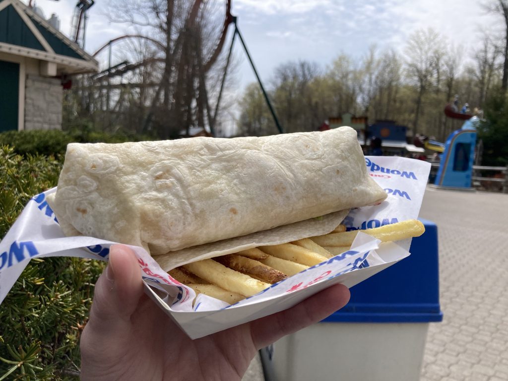 Chicken wrap and fries.