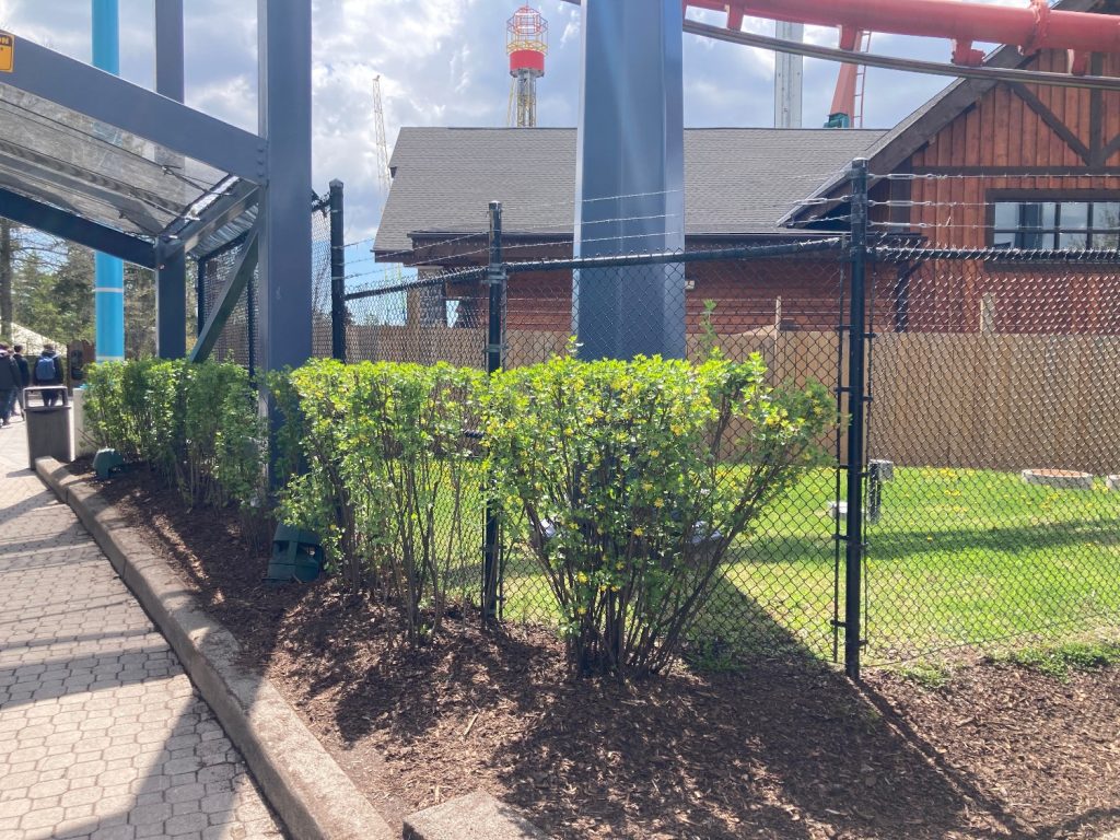 Bushes under Vortex's first drop.