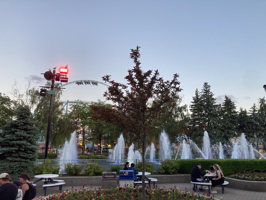 Tree on International Street