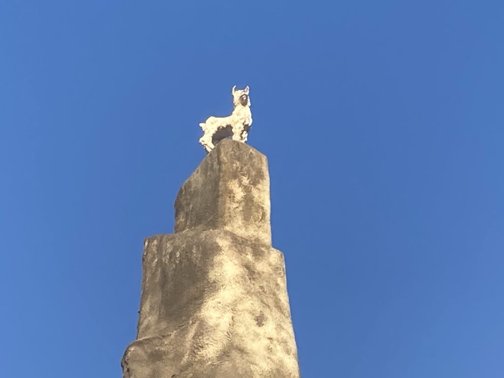 Goat on a narrow peak of Wonder Mountain.