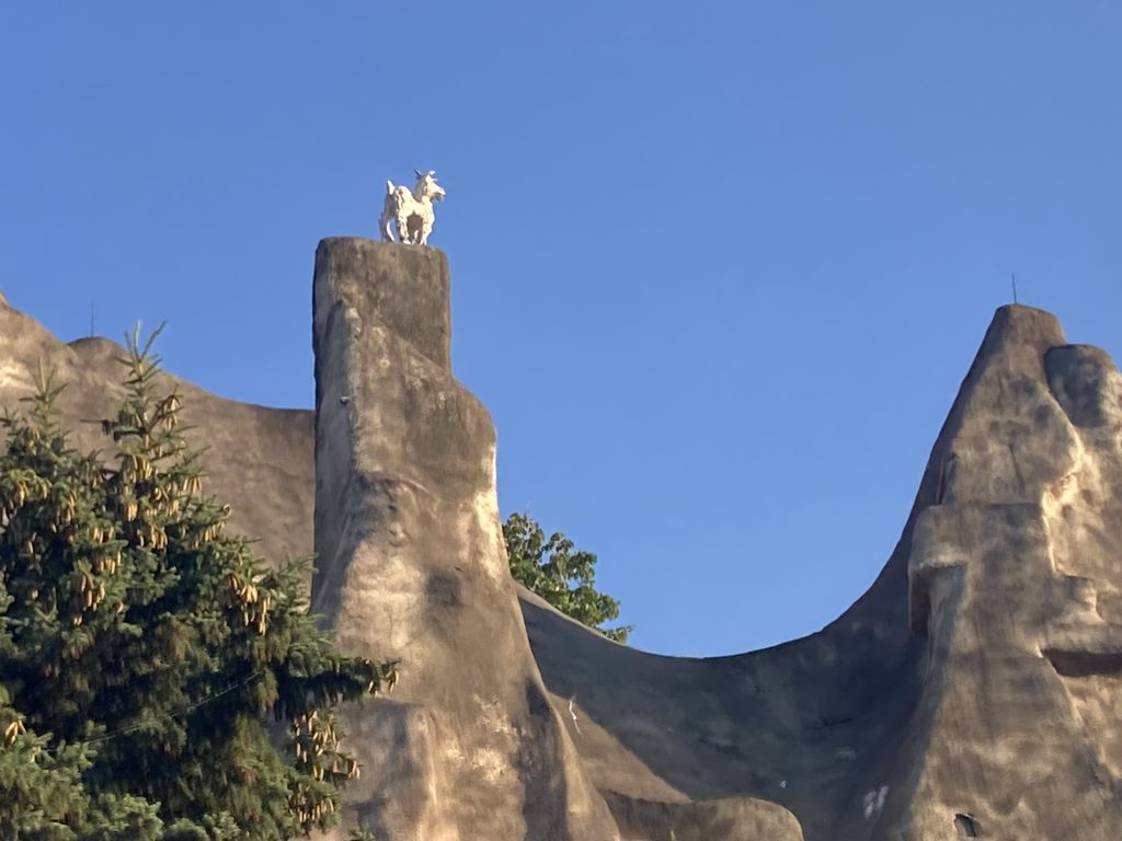Goat on a narrow peak of Wonder Mountain.