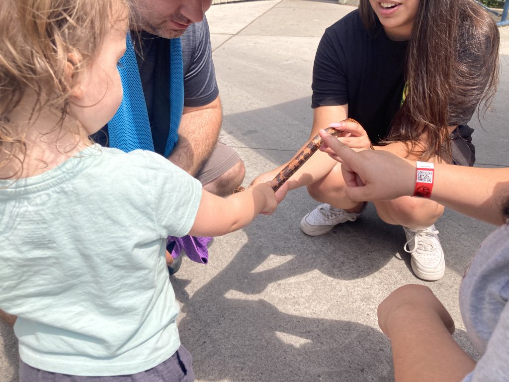 Emma petting a snake from Reptilia Zoo.