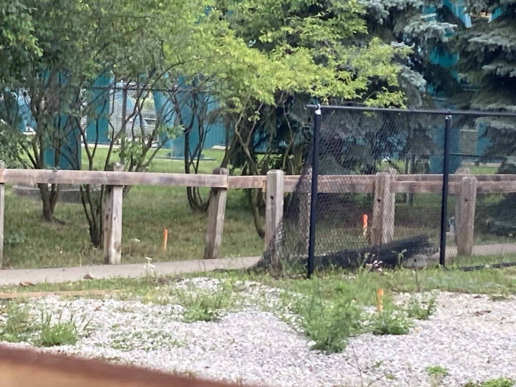 A group of stakes in the ground next to Time Warp's old exit path.