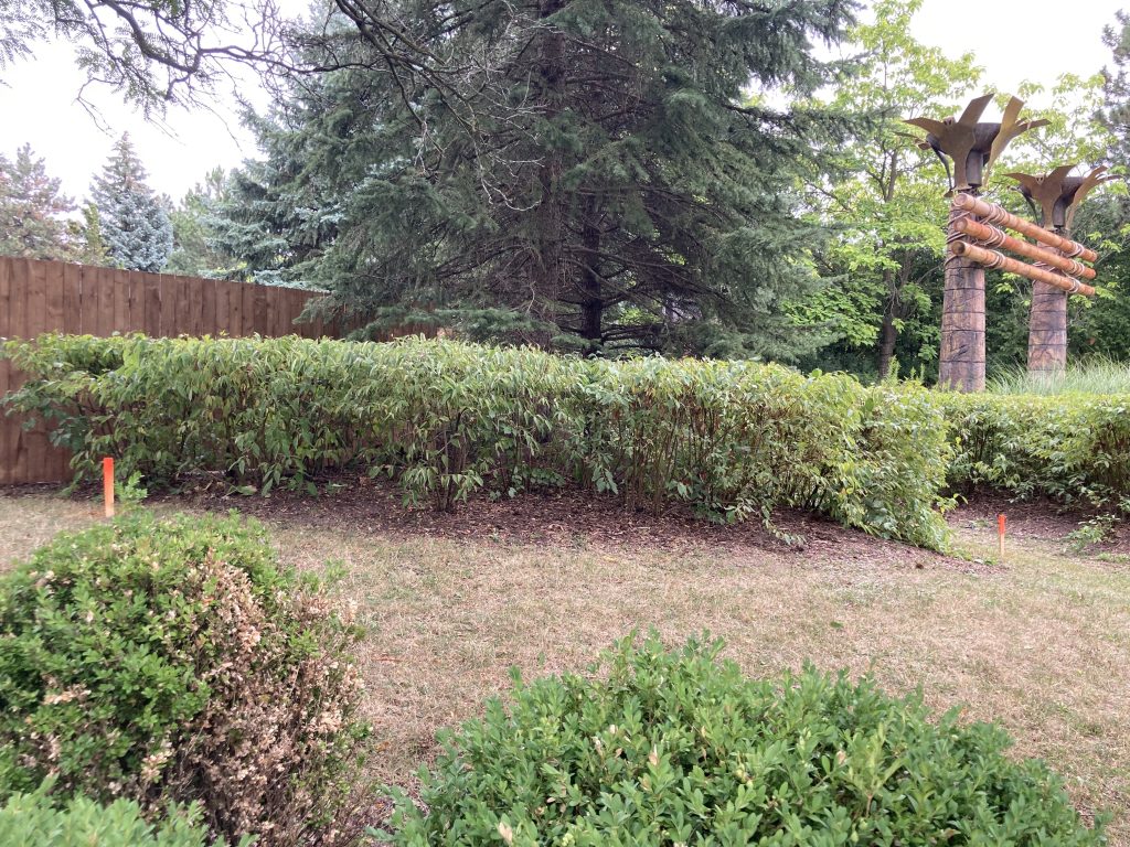 A stake in the ground around Time Warp's land.