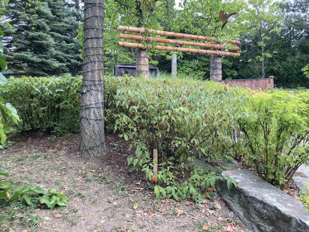 A stake in the ground around Time Warp's land.