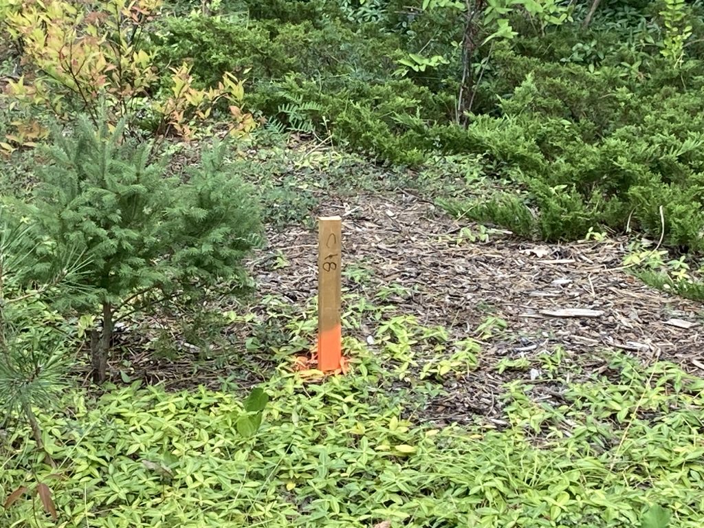 A stake in the ground around Time Warp's land.