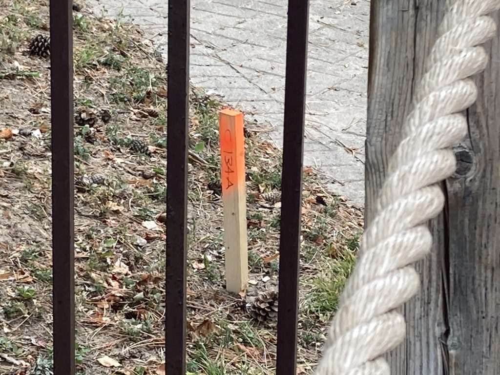 A stake in the ground around Time Warp's land.