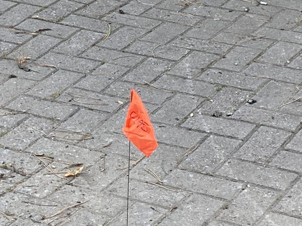 A flag in the ground around Kingswood's internal entrance gate.