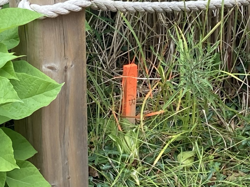 A stake in the ground around Time Warp's land.
