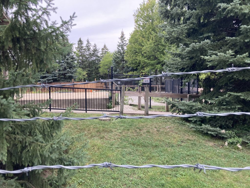 Time Warp's land, as seen from The DareDeviler's queue.