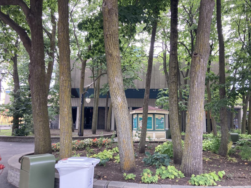 An abandoned building behind some nice trees.