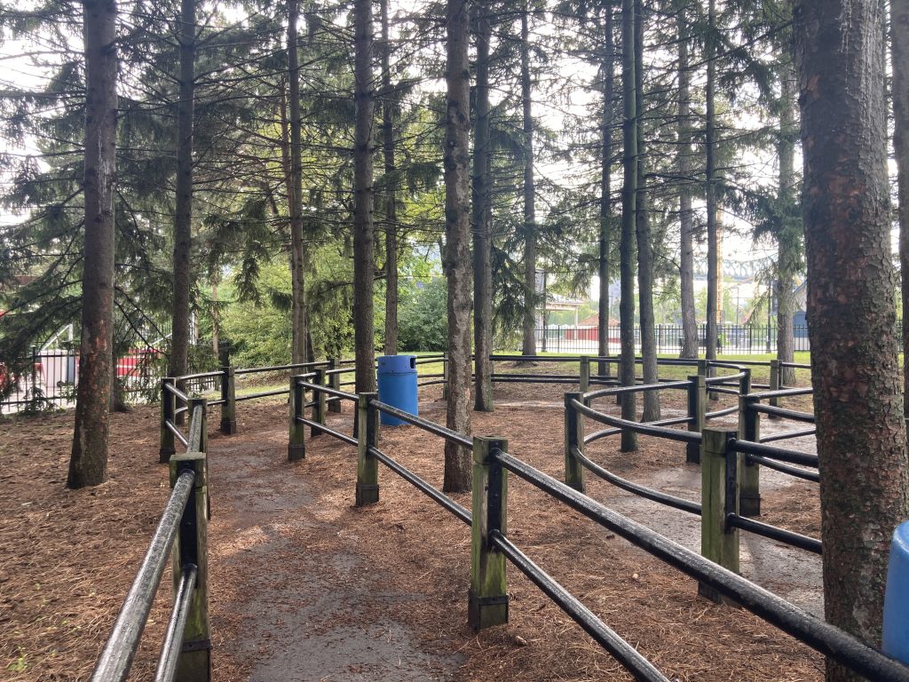 Condor's queue.